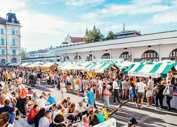 Dragon Bridge -spacious Central District - Perfect For Families And Couples شقة